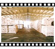 Wentong Potassium Salt Group Co.,Ltd. 