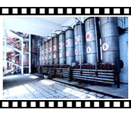 Wentong Potassium Salt Group Co.,Ltd. 